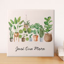 Recherche de plantation carreaux Jardinage
