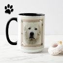 Recherche de os tasses Empreintes de pattes