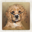 Recherche de de cocker horloges Animal