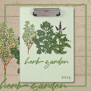 Recherche de herbe porte blocs Vert