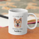 Recherche de inus tasses Shiba inu