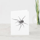 Recherche de araignée noire vœux cartes Arachnide