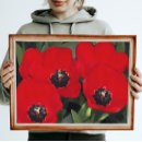 Recherche de tulipe rouge posters Floral