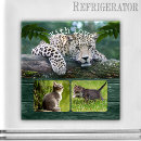 Recherche de hommes fous magnets Nature