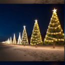Recherche de noël couvertures Arbres de noël