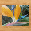 Recherche de oiseaux tropicaux puzzles Oiseau de paradis
