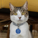 Recherche de chats médaillons Moderne