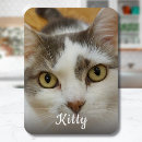 Recherche de photo drôle de chat magnets Chien