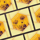 Recherche de hexagone cartes visite Jaune