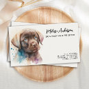 Recherche de chocolat labrador cartes visite Toilettage de chien