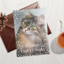 Recherche de chat heureux vœux cartes Pour animaux