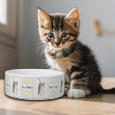 Recherche de tigré chat articles Cats