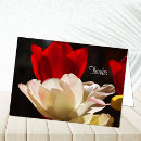 Recherche de admini Fleurs