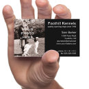 Recherche de chien blanc photographie Moderne