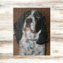 Recherche de springer spaniel puzzles Espagne de springer anglais