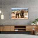 Recherche de faune impressions sur toile Éléphant