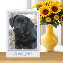 Recherche de labrador noir vœux cartes Chiot