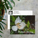 Recherche de fleur magnolia cartes postales Toute personne