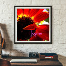 Recherche de gerber posters Floral