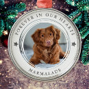 Recherche de sympathy animaux mémoriaux ornements Dog