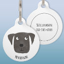 Recherche de cute animaux articles Dog