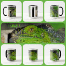 Recherche de lézard vert tasses Nature