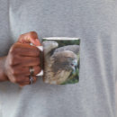Recherche de bec photographie Photographie de la nature