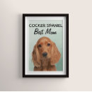 Recherche de chien domestique posters Pour elle