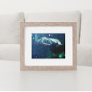 Recherche de manta ray posters Hawaii