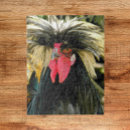 Recherche de chicken puzzles Animal