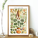 Recherche de adolphe millot posters Botanique