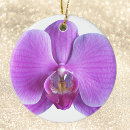 Recherche de orchidée ornements Violet