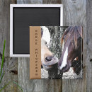 Recherche de horse carrés magnets Photographie