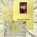 Recherche de chrysanthème photographie Chrysanthèmes