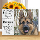 Recherche de german shepherd memorial Pour tous
