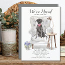 Recherche de black lab invitations Chien