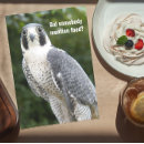 Recherche de faucon vœux cartes Animaux