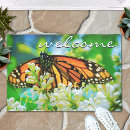 Recherche de papillons de monarque Papillon orange et noir