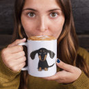 Recherche de chiot teckel tasses Mignon