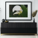 Recherche de arum art Floral