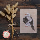 Recherche de pigeons cartes postales Colombe