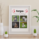 Recherche de animaux articles Chiens