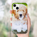 Recherche de commémoratif électronique Animal