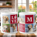 Recherche de simple chat tasses Photo collage