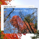 Recherche de couleurs automnales cartes postales Pour tous