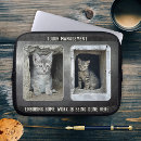 Recherche de humour de chat coques Pour lui
