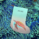 Recherche de tortues chaussette de noël Nom