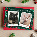 Recherche de père vœux cartes Chat