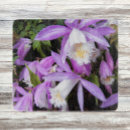 Recherche de orchidée planches à découper Botanique