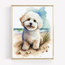 Recherche de frise bichon posters Aquarelle
